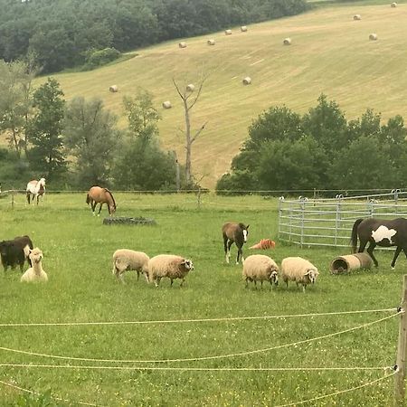 Gite A La Ferme Avec Jacuzzi Et Piscine Chauffee Saint-Felix-de-Tournegat ภายนอก รูปภาพ