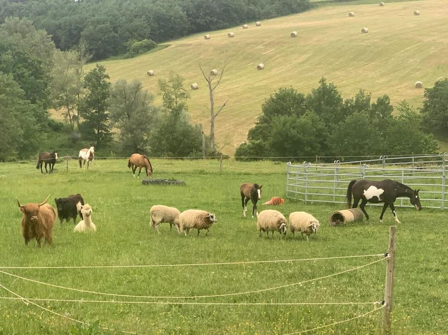 Gite A La Ferme Avec Jacuzzi Et Piscine Chauffee Saint-Felix-de-Tournegat ภายนอก รูปภาพ